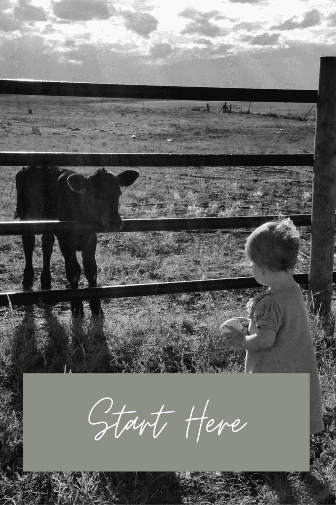 little girl and calf stare at each other through a fence. The words say start here.