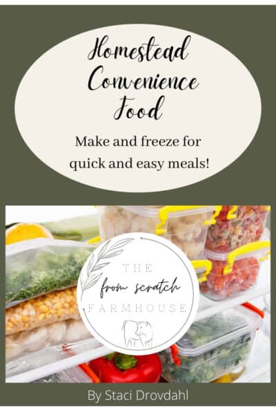 Homestead Convenience Food Ebook