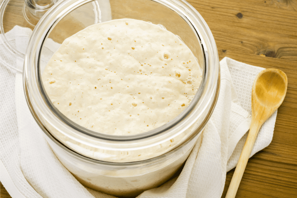 How to Build a Sourdough Starter from Scratch