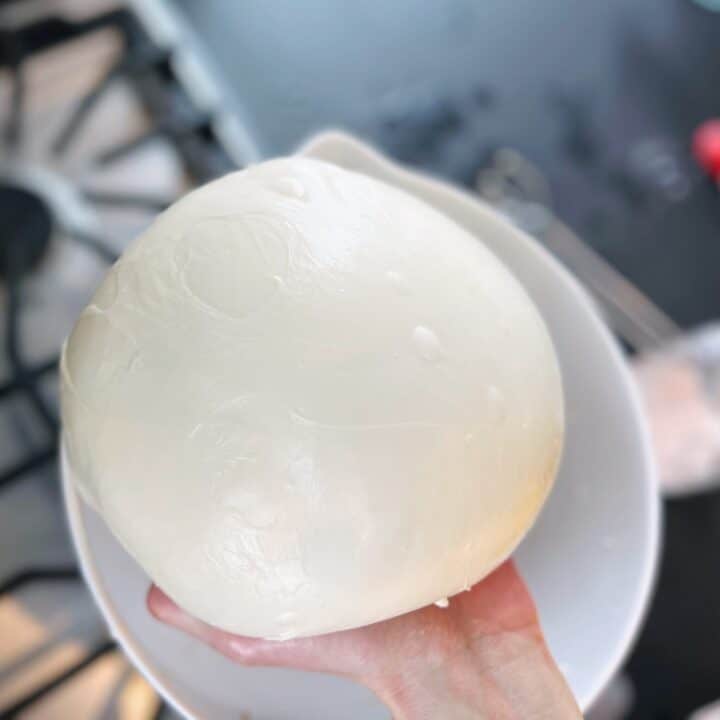 homemade mozzarella cheese