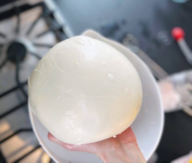 Homemade Mozzarella Cheese (Step-by-Step Tutorial)