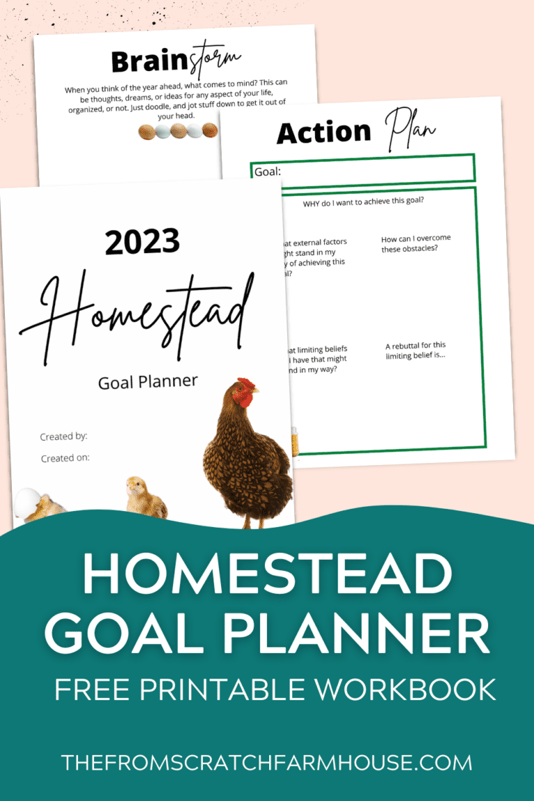 Homestead Goal Planner Workbook