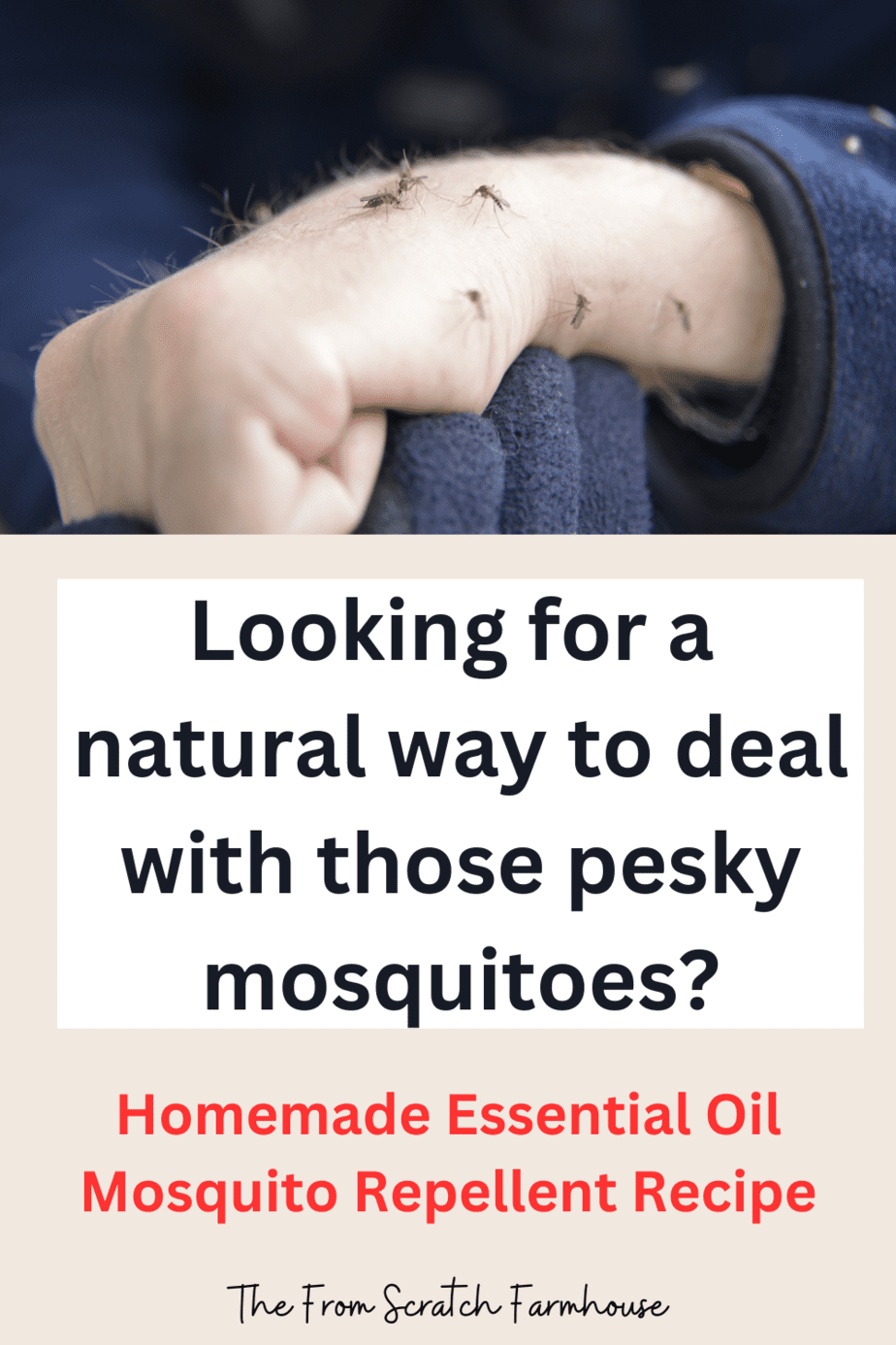 Homemade Essential Oil Bug Spray Repellent Recipe The From Scratch