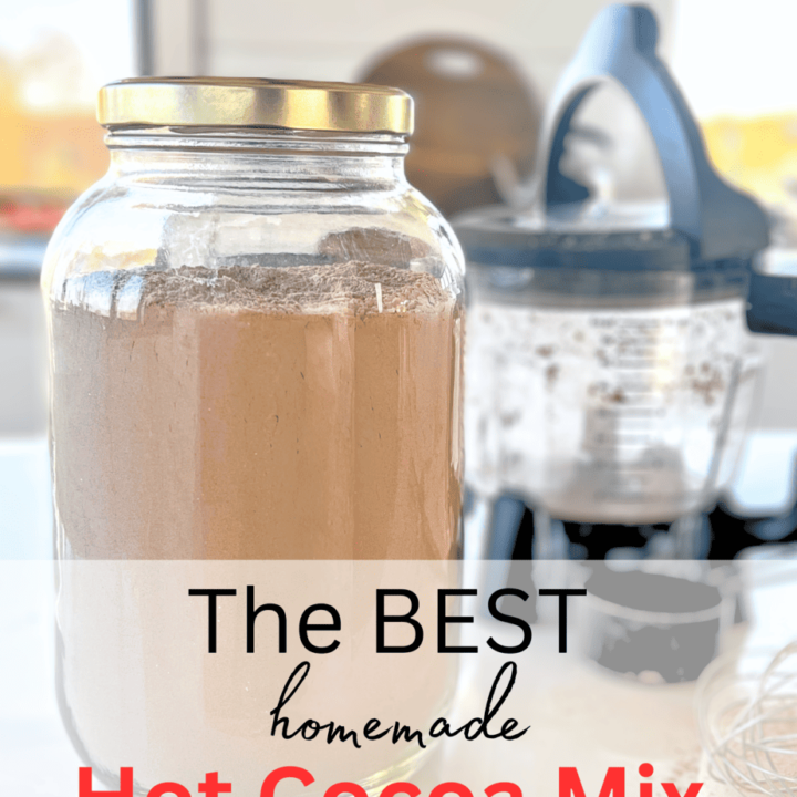 homemade hot cocoa mix with dairy free recipe