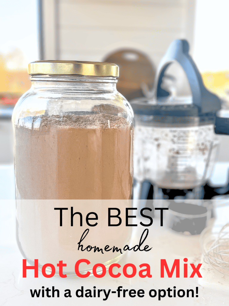 homemade hot cocoa mix with dairy free recipe