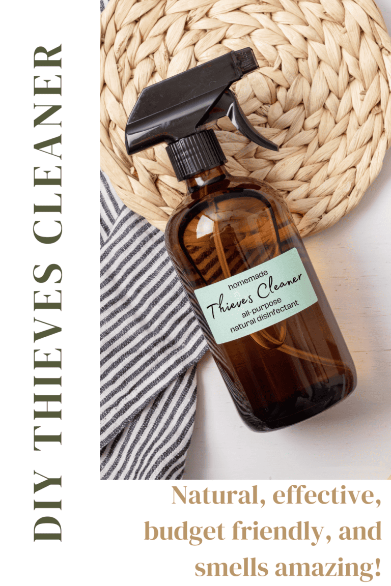 Homemade Thieves AllPurpose Cleaner (No castile soap!) The From