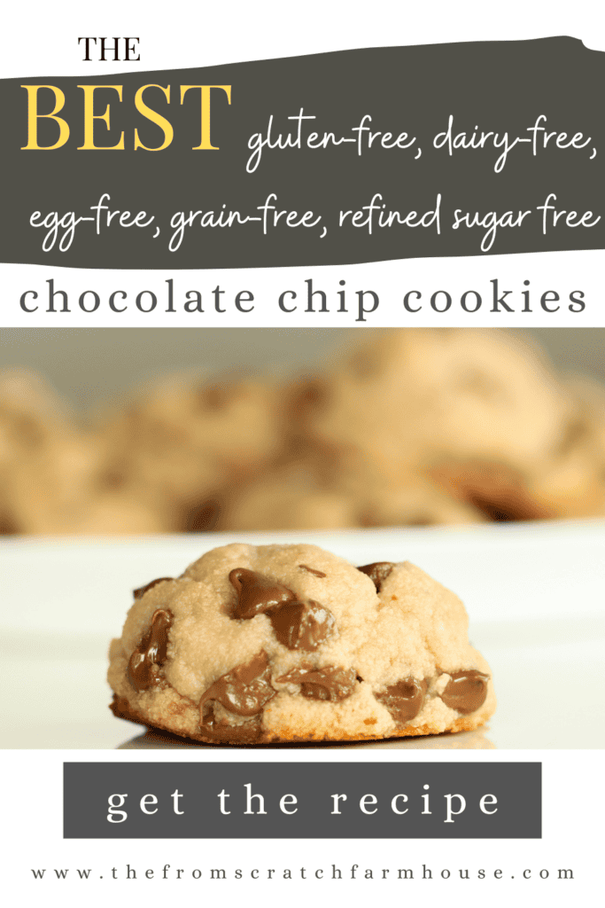 dairy free gluten free chocolate chips cookies pin