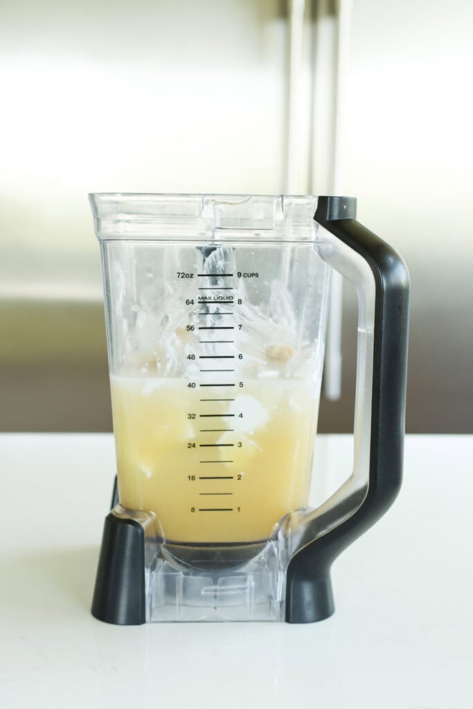 pina colada ingredients in a blender