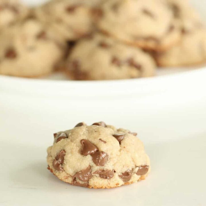 gluten free dairy free chocolate chip cookie