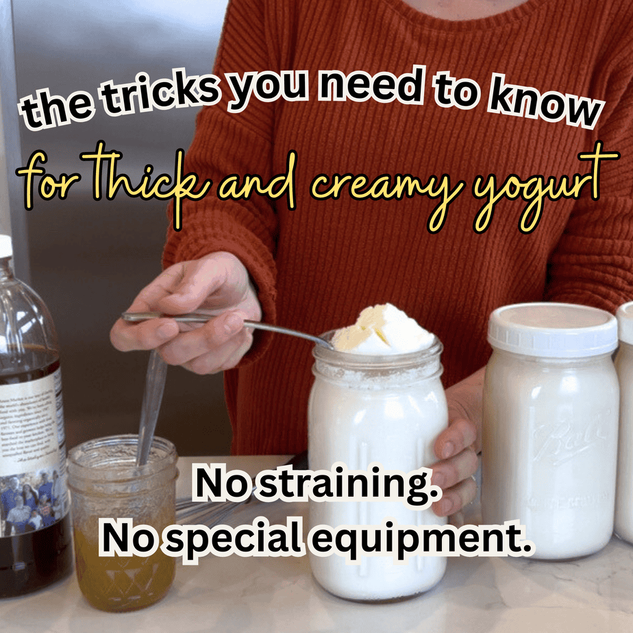 thick and creamy homemade yogurt recipe