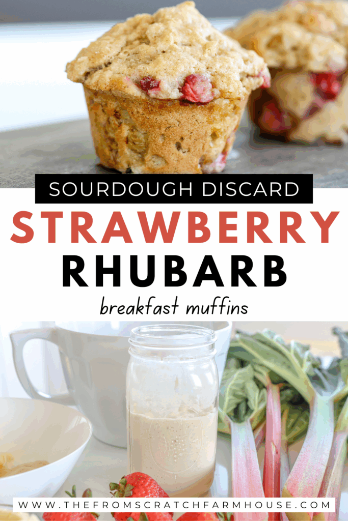 sourdough strawberry rhubarb breakfast muffins