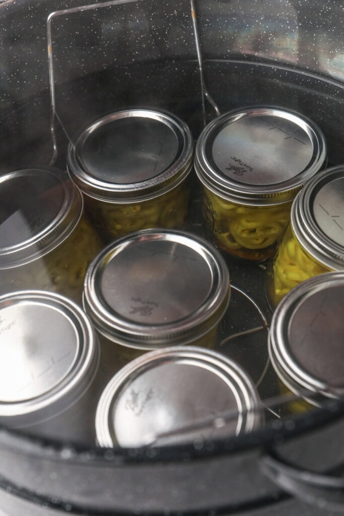 Glass jars of pickled banana pepper rings with lids and bands secured for water bath canning.